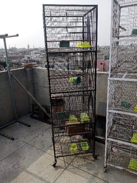 cages for sale 5