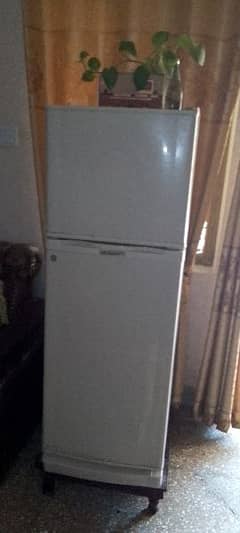Frige for sale . condition 10*10 hai