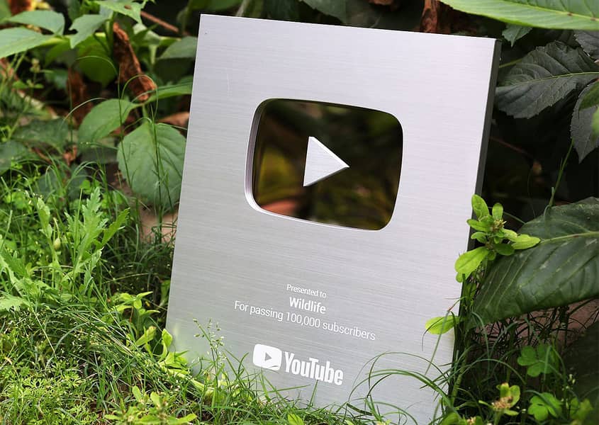 Customize YouTube Silver And Gold Play Button Free Delivery 0