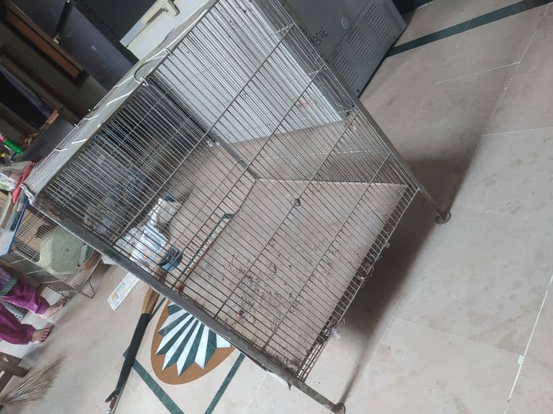 cage for hens 3