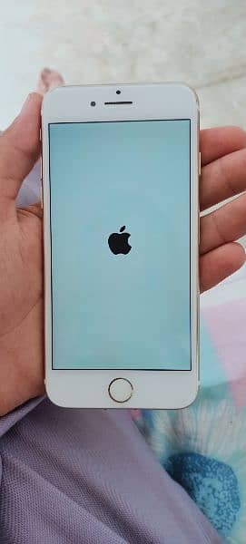 IPhone 7 non PTA 256gb 4