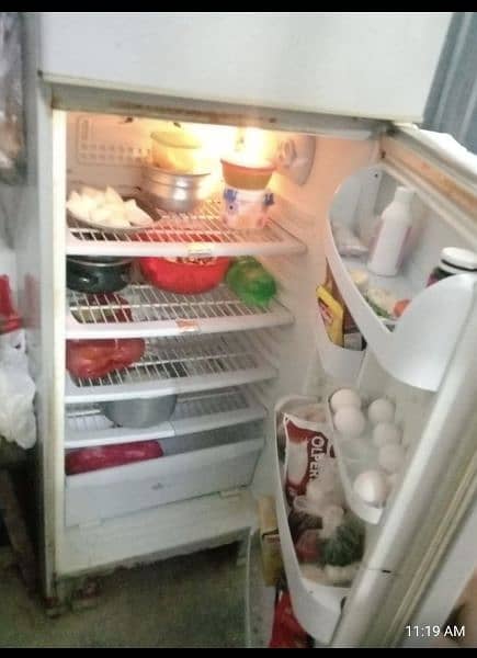 Pel Refrigerator in Excellent working Condition 0