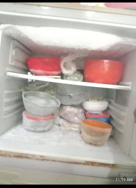 Pel Refrigerator in Excellent working Condition 2