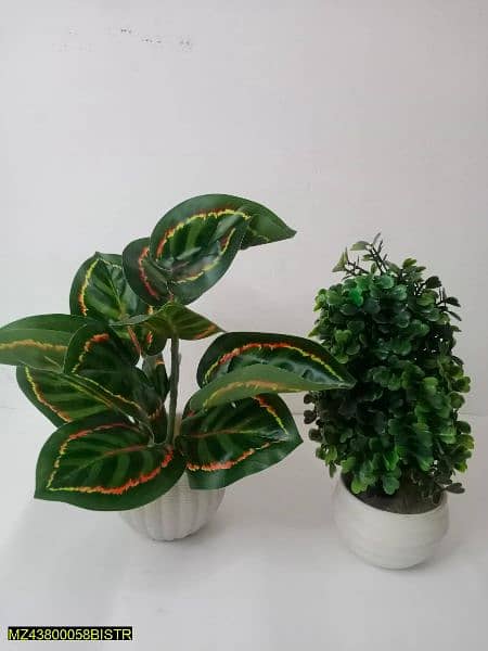 Artifical plant pack of 2 0