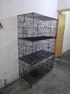 Bird's cage's available for sale