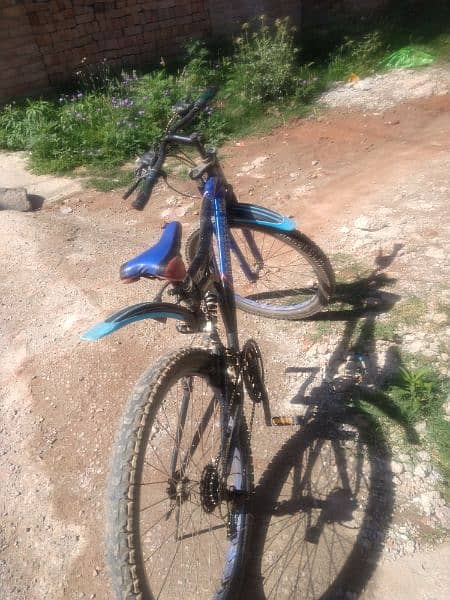 Morgan mountain bicycle 3