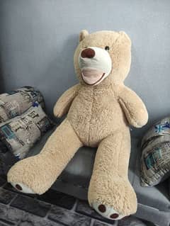 Cute Teddy bear for sale