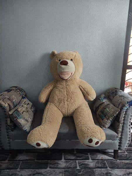Cute Teddy bear for sale 3