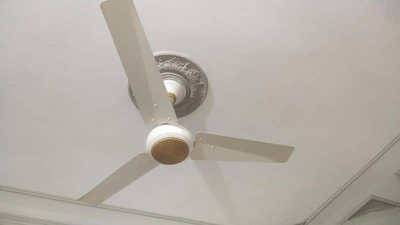 Ceiling fans Available in Excellent condition 0