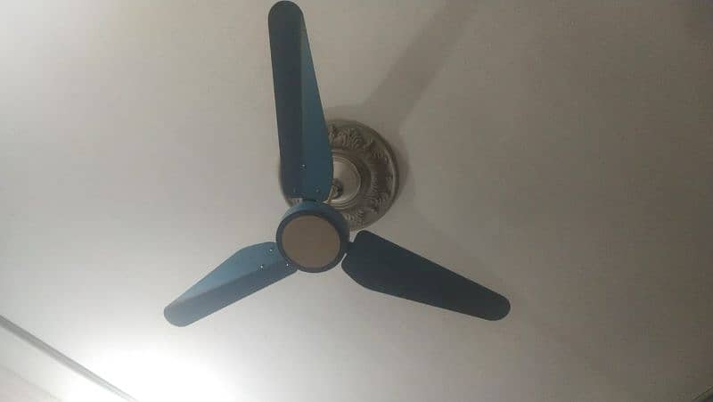 Ceiling fans Available in Excellent condition 2