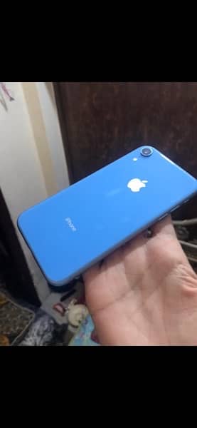 iphone xr 10/10 2