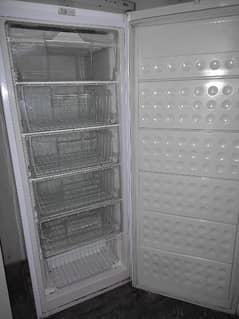 SG Imported Vertical Freezer 0