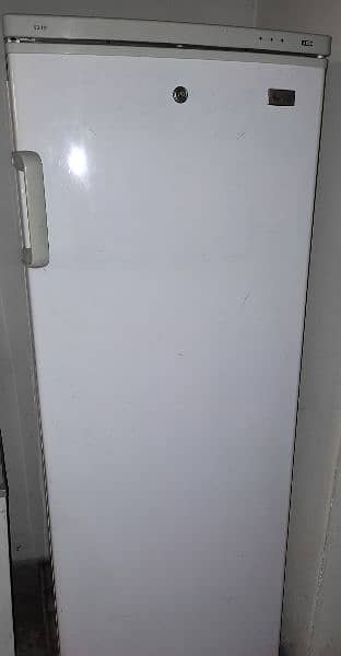 SG Imported Vertical Freezer 1