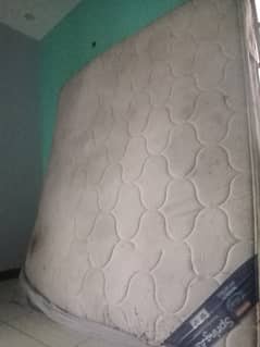 Molty foam spring mattress for sell