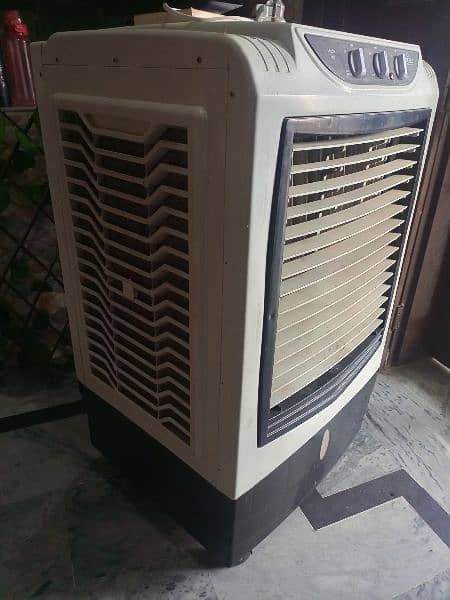 Beetroot Air Cooler 1