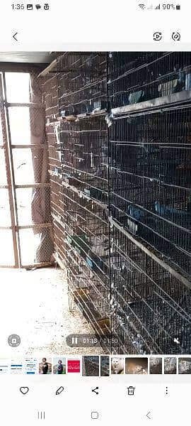8 Portion Cages for Sale 0