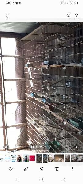 8 Portion Cages for Sale 3