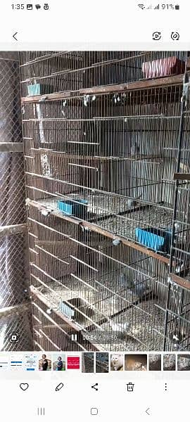 8 Portion Cages for Sale 4
