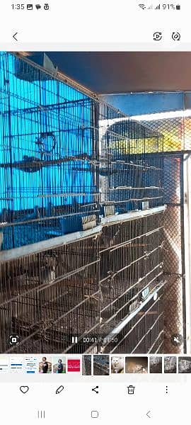 8 Portion Cages for Sale 6