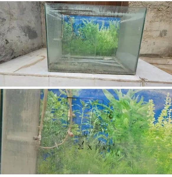 Glass Aquarium 0