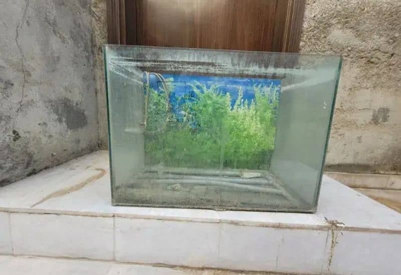 Glass Aquarium 1