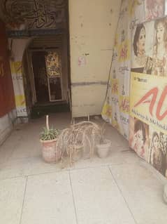 Ali makeup studio main sanda road opposite nadra office