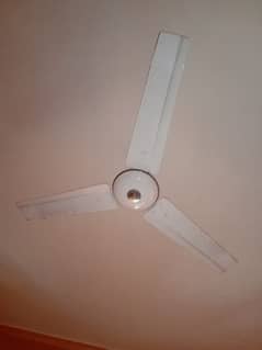 pak ceiling fan 56"