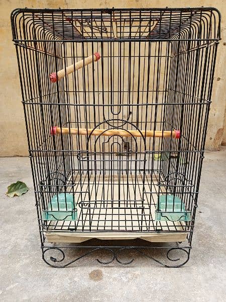 ALEXANDER GREY PARROT CAGE 0