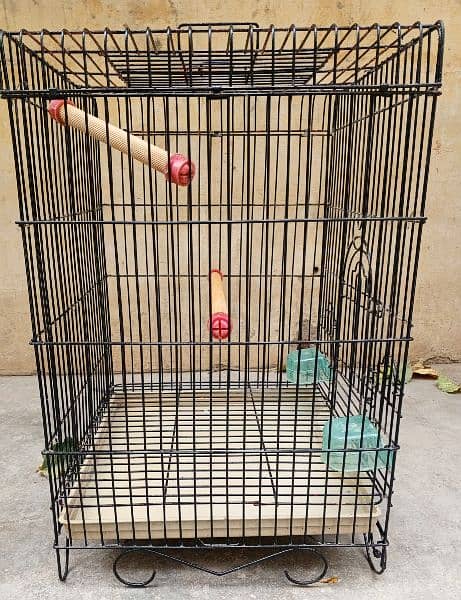 ALEXANDER GREY PARROT CAGE 1