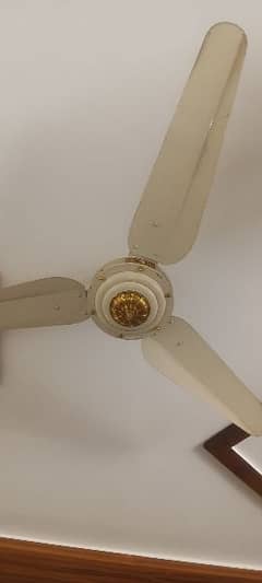 fan sonic who are use