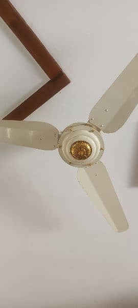 fan sonic who are use 1