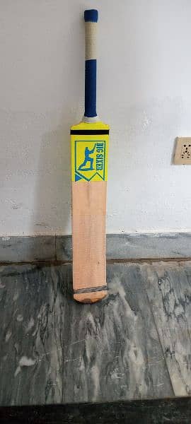 Big Sixer cricket bat press wood addition 1