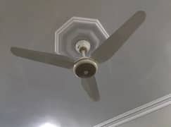 Pak Fan AC/DC low power consumption fan