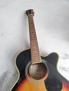 Acoustic Brand new guitar for sale