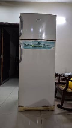 Electrolux refrigerator