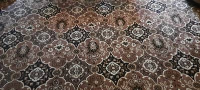 carpet