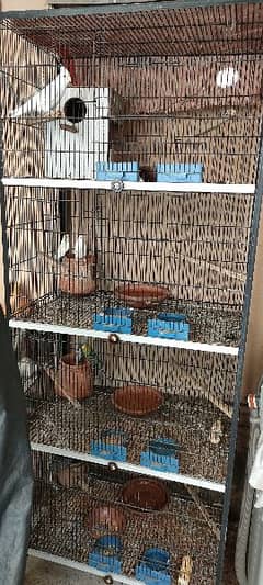 4th Flor Iron Cage For birds with 4 Pair parrots