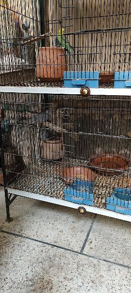 4th Flor Iron Cage For birds with 4 Pair parrots 4