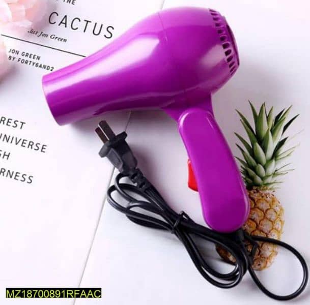 Portable Hair Dryer 2