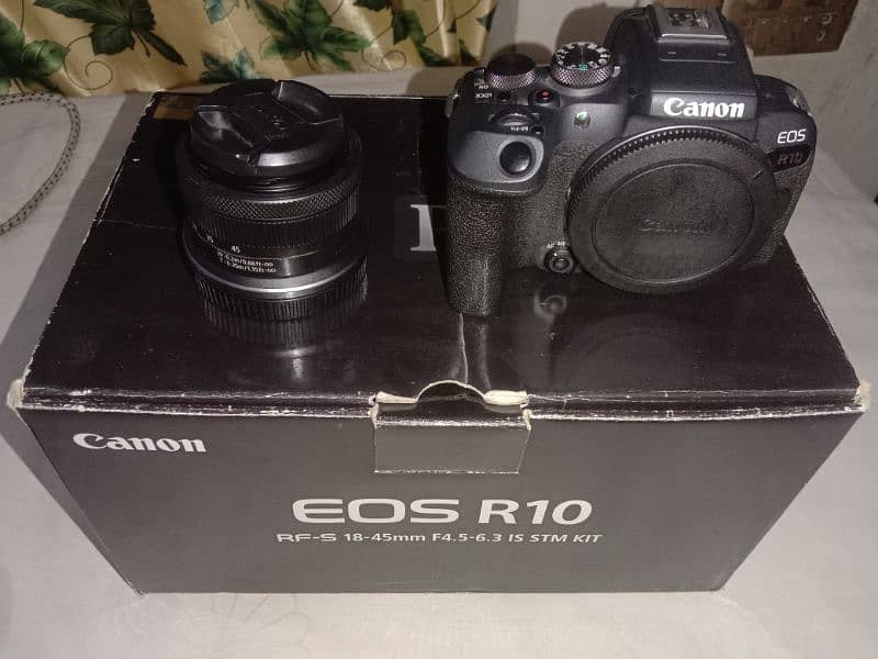 Canon R10 8