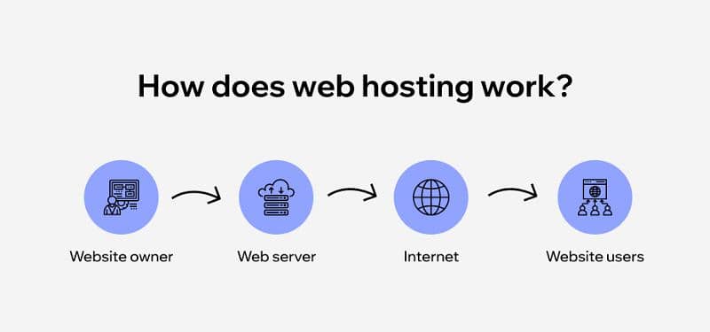 website , domain and hosting 4