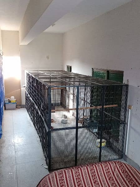 strong folding cage, 10 no wire, suitable for any type of pet 1