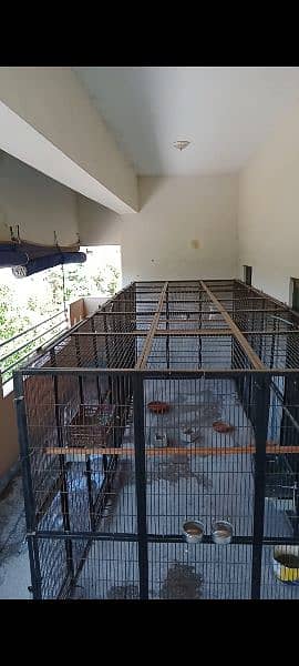 strong folding cage, 10 no wire, suitable for any type of pet 3
