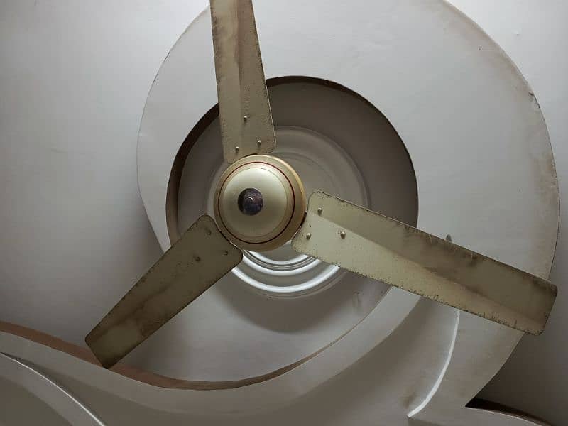 ceiling fan for sale 1