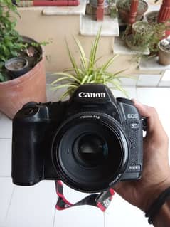Canon 5d mark ii professional camera