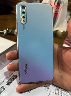 vivo