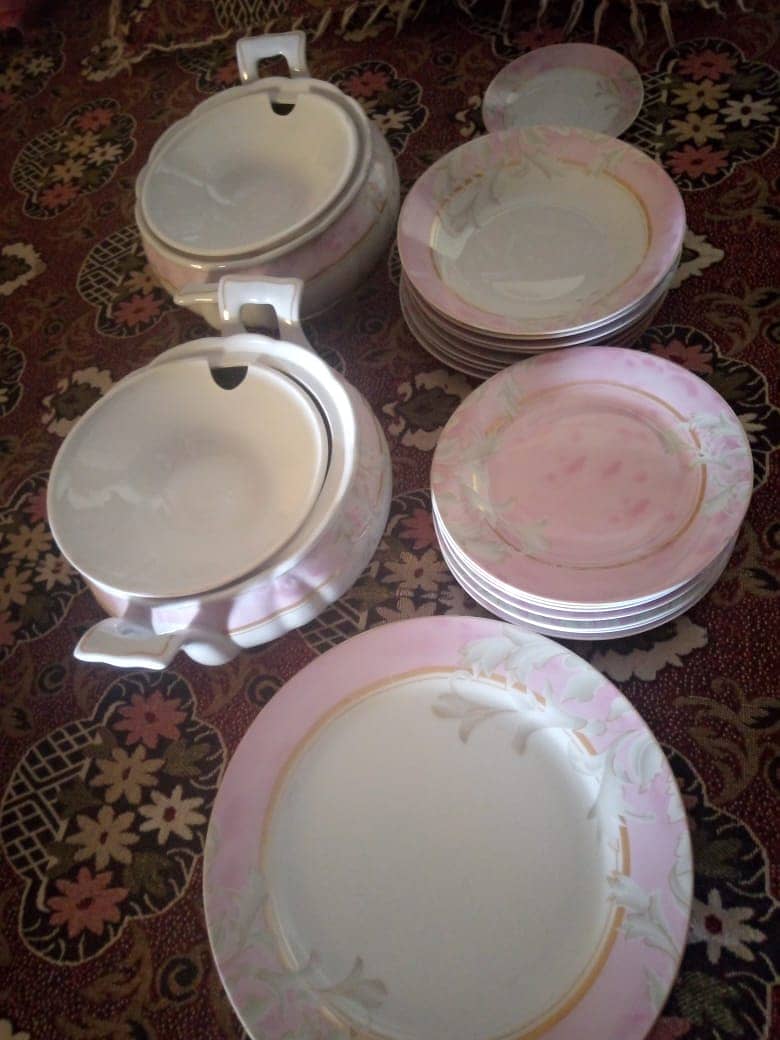 Dinner & tea set (chinni) 6