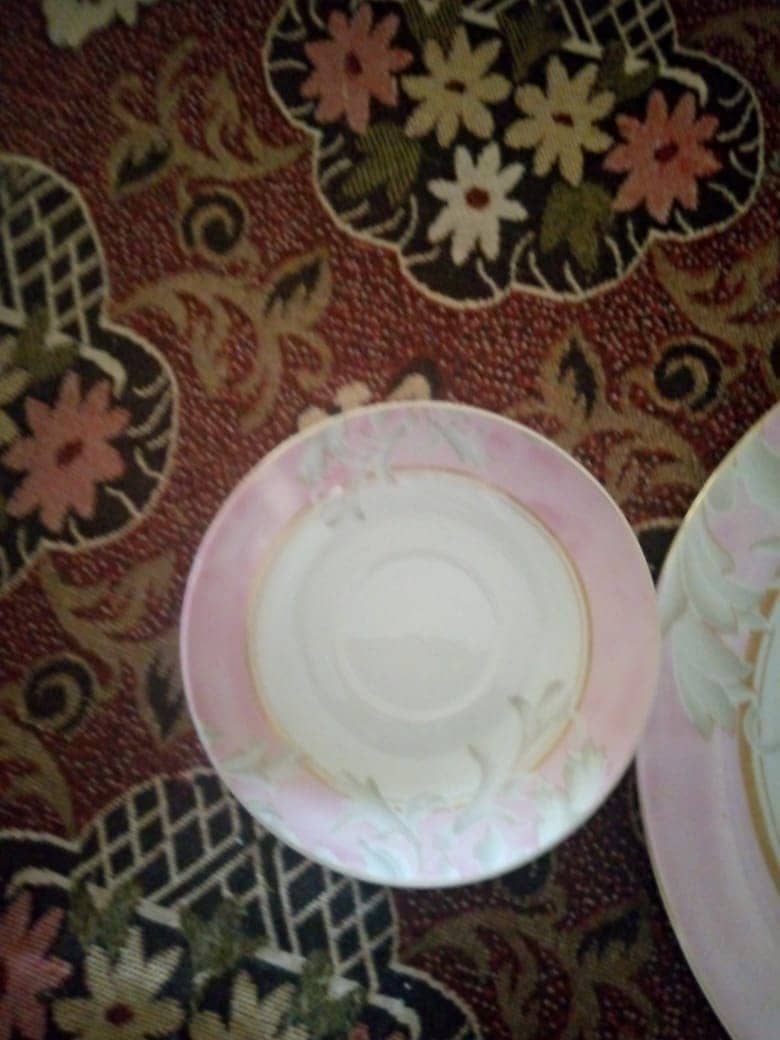 Dinner & tea set (chinni) 8