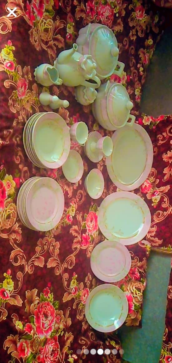 Dinner & tea set (chinni) 9