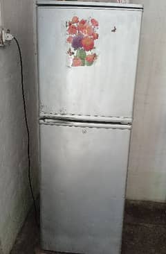 fridge dawlanc medium size